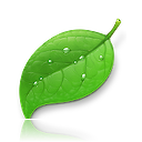 Coda Icon