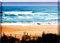 North Carolina Beaches
