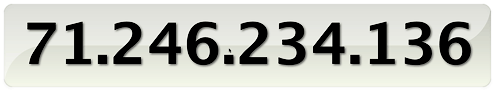 Quicksilver's Large Type IP Display