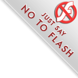Just Say No To Flash: Join The Campaign!