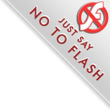 Just Say No To Flash - Banner At Bottom Right Just Say No To Flash - Banner At Bottom Right